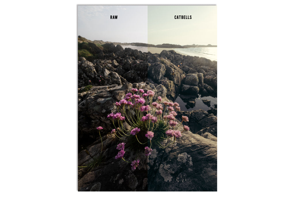 Lightroom Presets - "THE FELL PACK" (Includes Bonus Woodland Preset!)