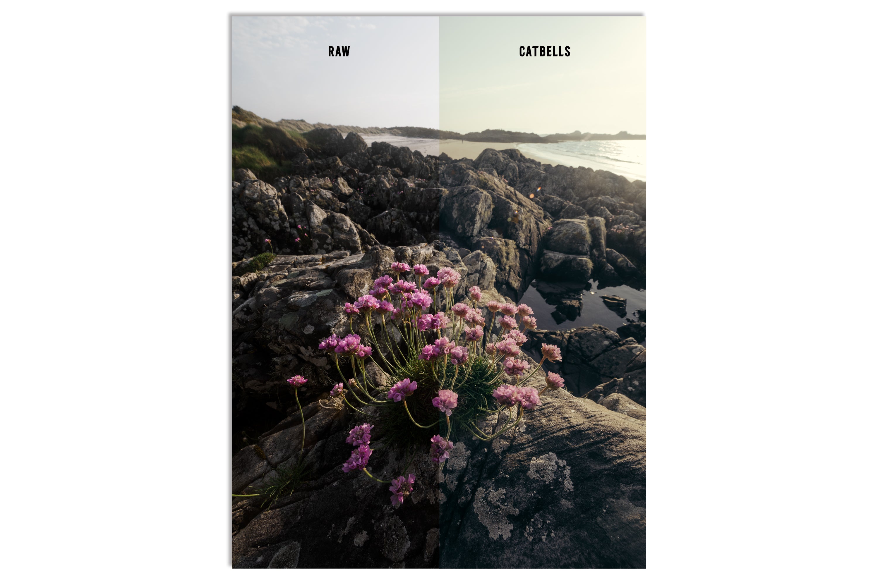 Lightroom Presets - "THE FELL PACK" (Includes Bonus Woodland Preset!)