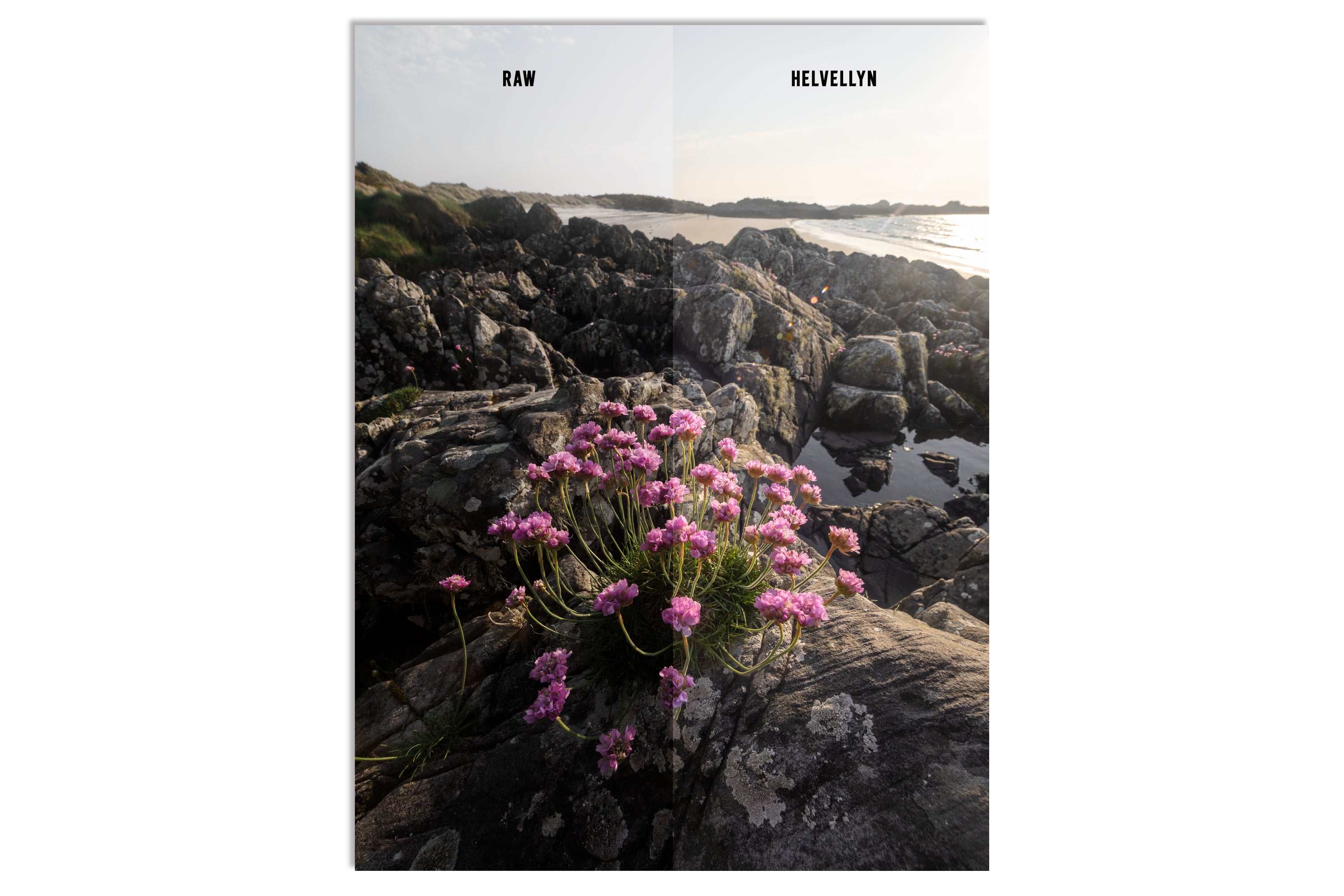 Lightroom Presets - "THE FELL PACK" (Includes Bonus Woodland Preset!)
