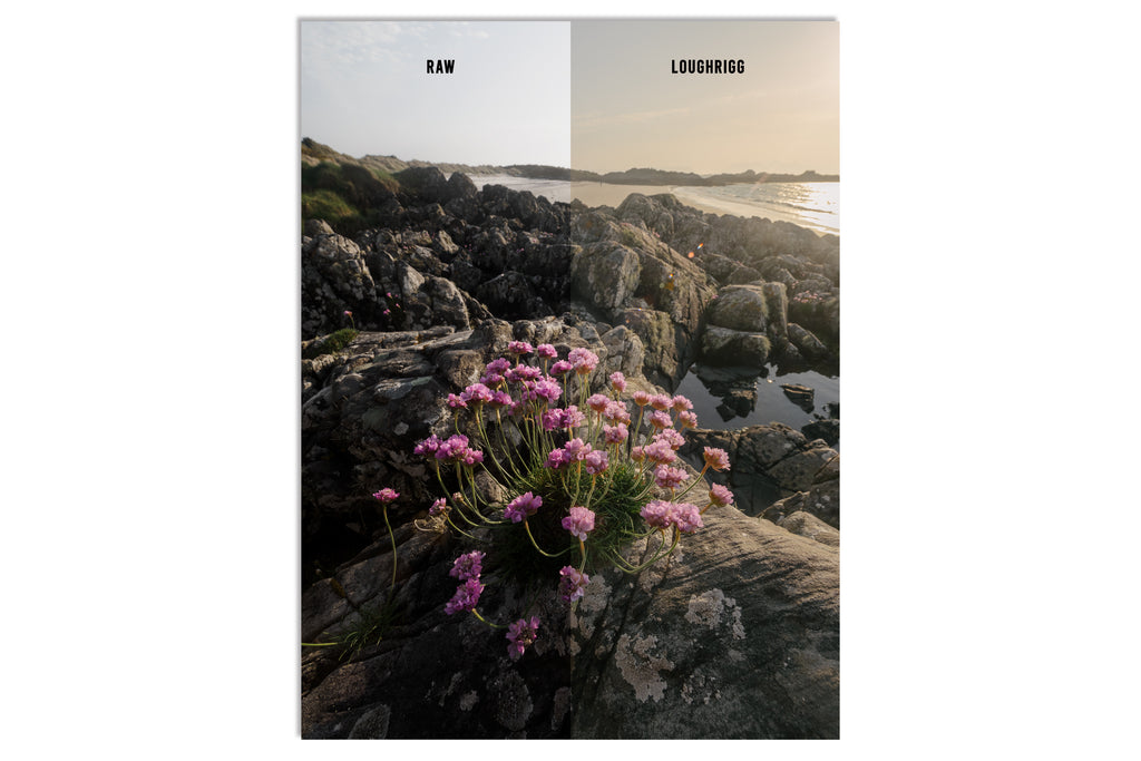 Lightroom Presets - "THE FELL PACK" (Includes Bonus Woodland Preset!)