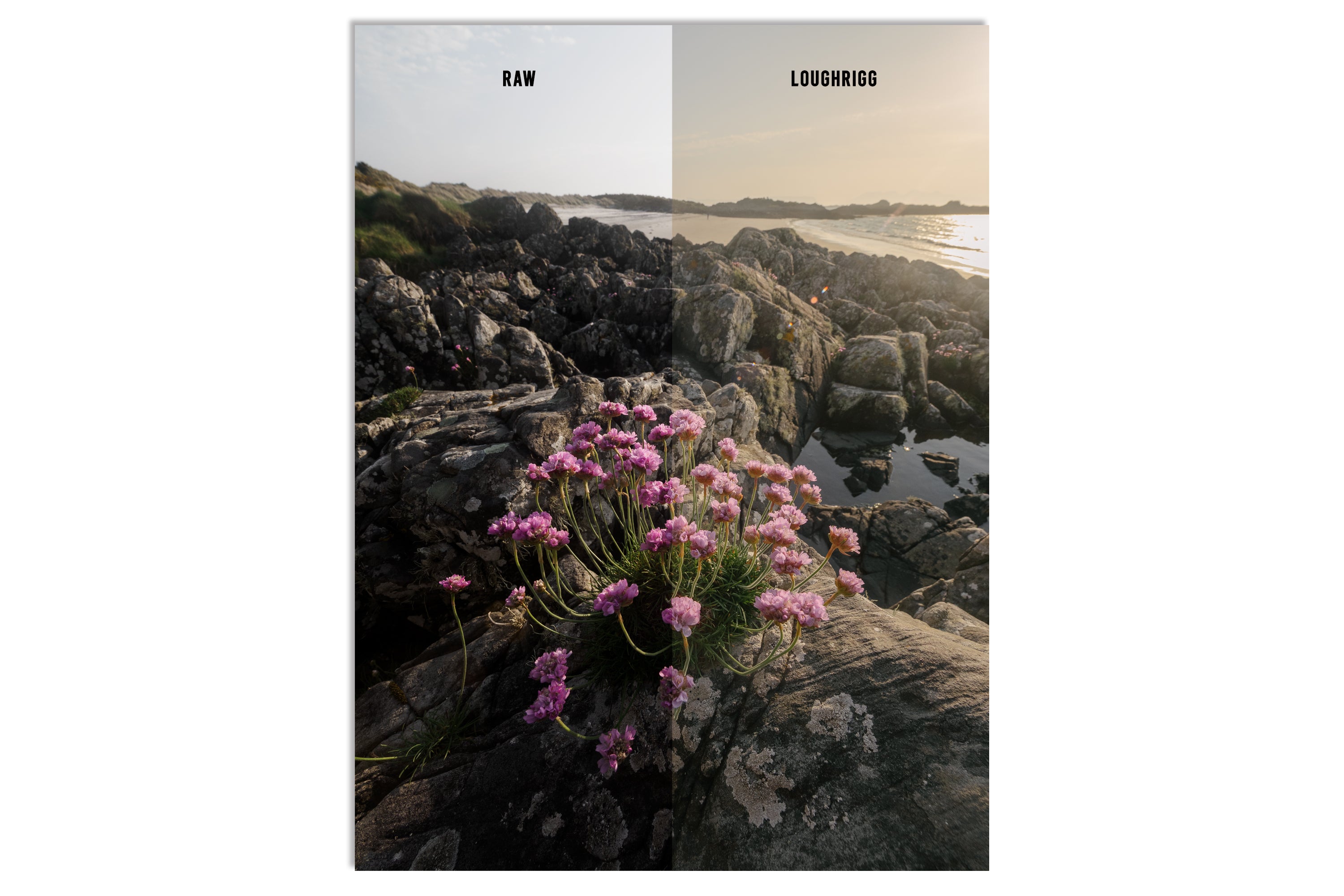 Lightroom Presets - "THE FELL PACK" (Includes Bonus Woodland Preset!)