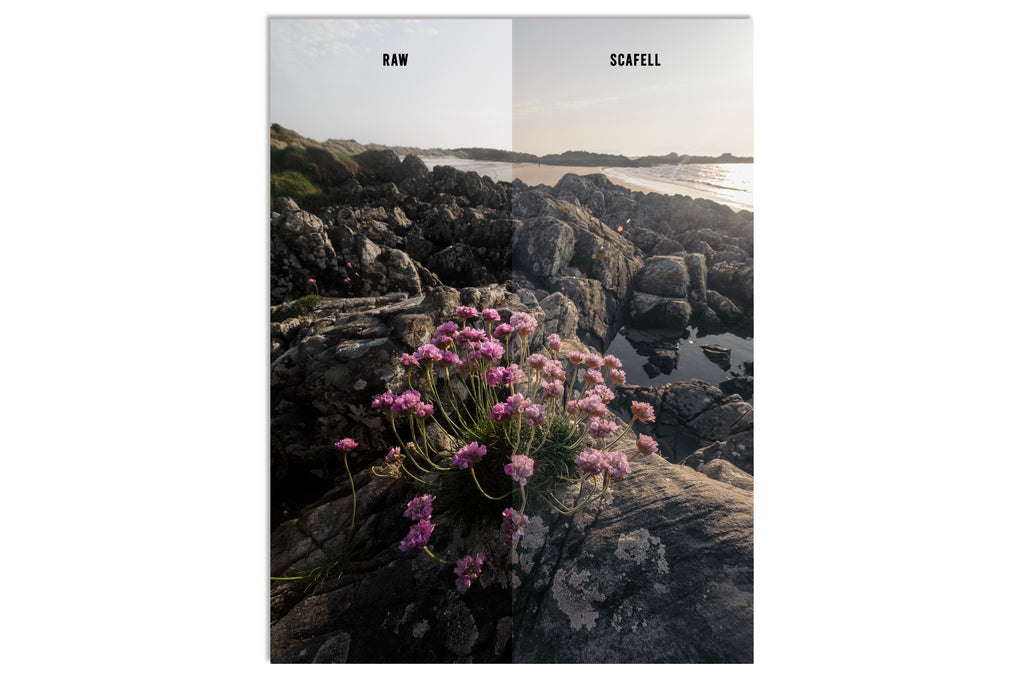 Lightroom Presets - "THE FELL PACK" (Includes Bonus Woodland Preset!)