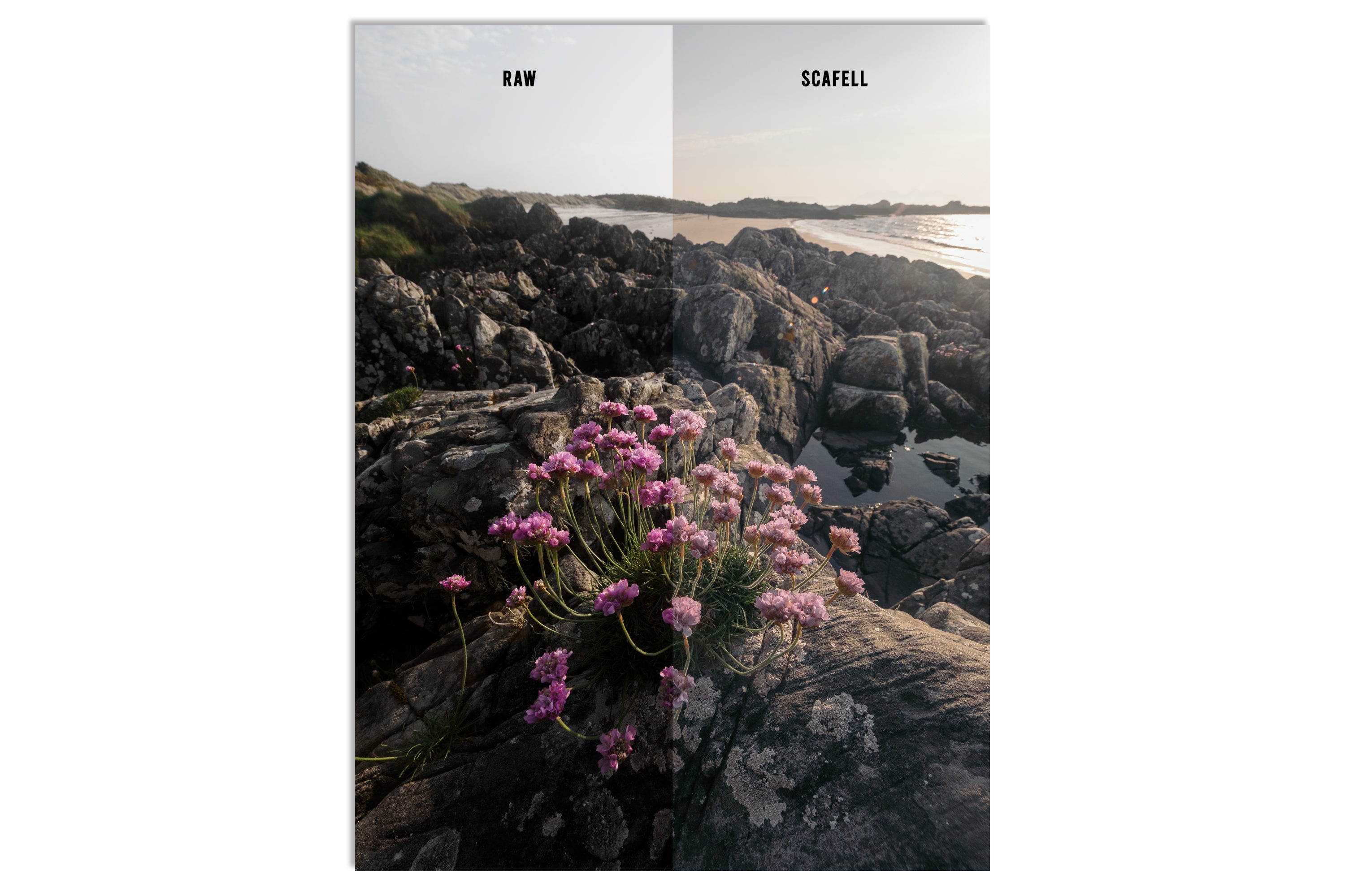 Lightroom Presets - "THE FELL PACK" (Includes Bonus Woodland Preset!)