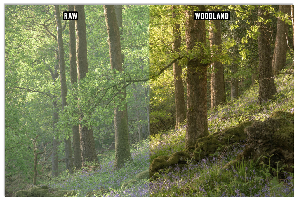 Lightroom Presets - "THE FELL PACK" (Includes Bonus Woodland Preset!)